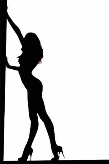 男主女贝sp实践文