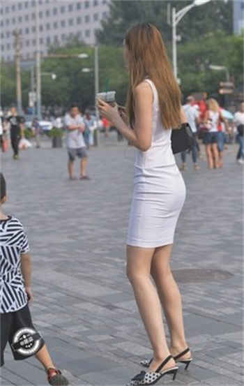 中国zoom人狗app