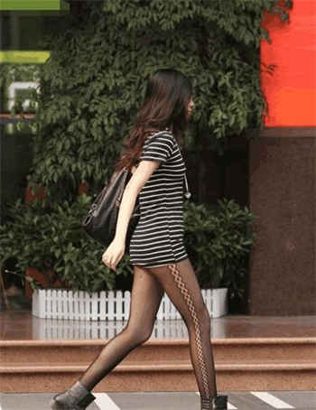 寄养的狗百度云