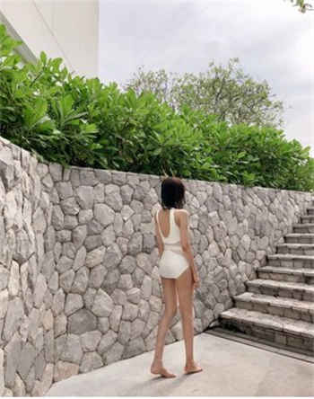 猫咪vip会员账号密码2022