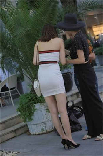 精卫衔微木