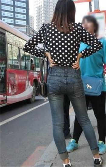 沈先生的花式调免费阅读